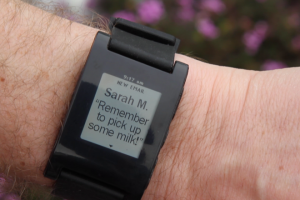 pebble 1